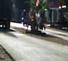 Hindari Kecelakaan, Jalan Rusak di Jember Ditanami Pohon